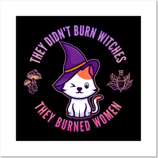 They Didn't Burn Witches, They Burned Women Posters and Art